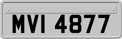 MVI4877