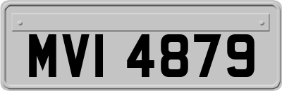 MVI4879