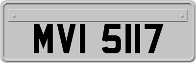 MVI5117