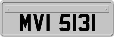 MVI5131