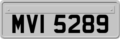 MVI5289
