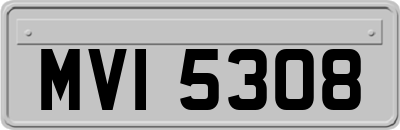 MVI5308
