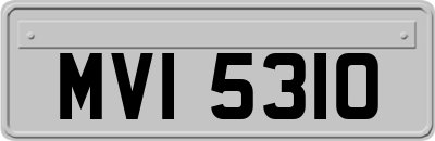 MVI5310