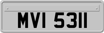 MVI5311