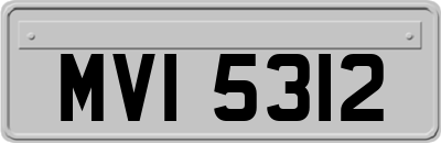 MVI5312