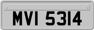 MVI5314