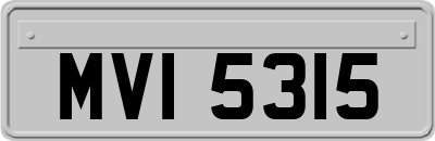 MVI5315