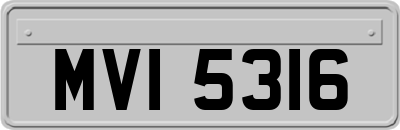 MVI5316