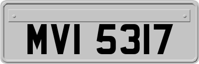 MVI5317