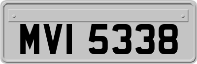 MVI5338