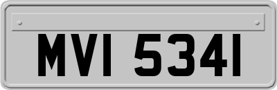 MVI5341