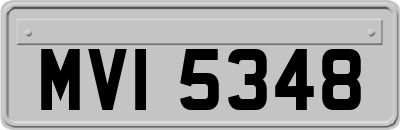 MVI5348