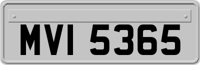 MVI5365