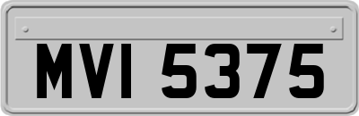 MVI5375