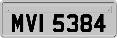 MVI5384