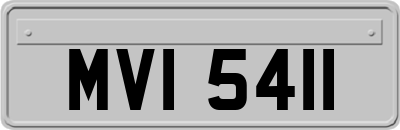 MVI5411