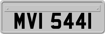 MVI5441