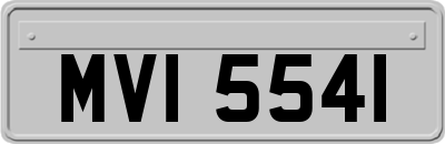 MVI5541