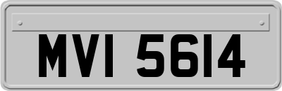 MVI5614