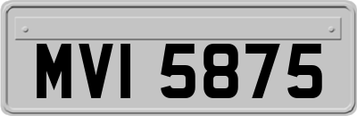 MVI5875