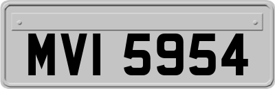 MVI5954