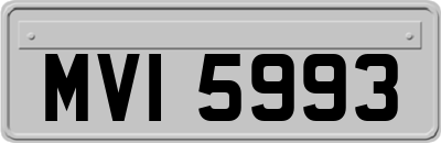 MVI5993