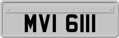 MVI6111