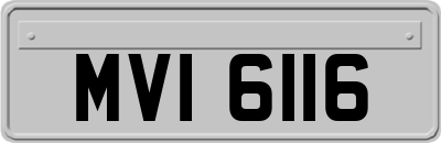 MVI6116