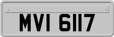 MVI6117