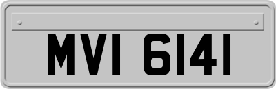 MVI6141