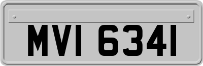 MVI6341