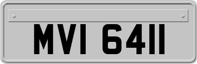 MVI6411
