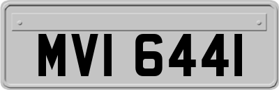 MVI6441