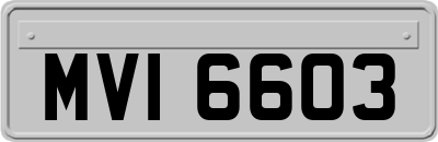 MVI6603