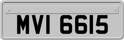 MVI6615