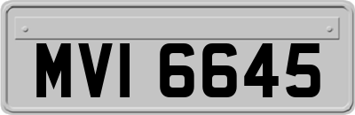 MVI6645