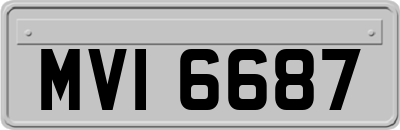 MVI6687