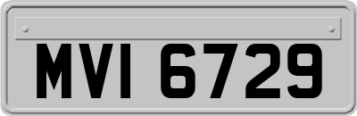 MVI6729