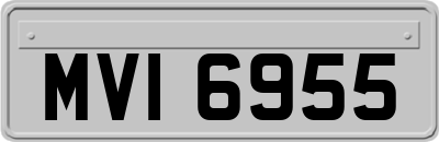 MVI6955