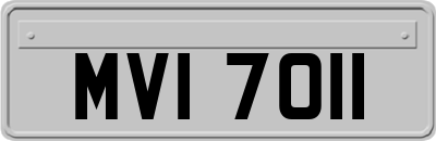 MVI7011