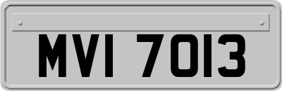 MVI7013