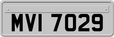 MVI7029