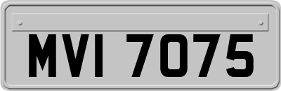 MVI7075
