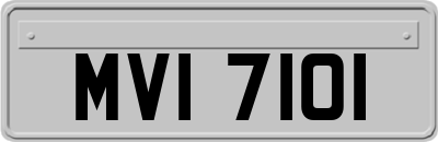 MVI7101