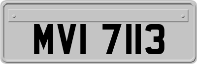 MVI7113