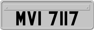 MVI7117