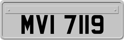 MVI7119