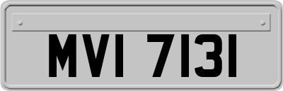MVI7131