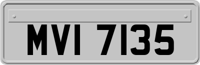 MVI7135