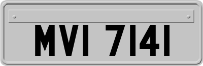 MVI7141